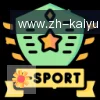 开云APP logo